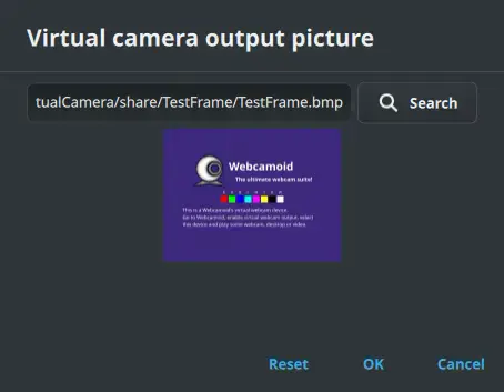 Virtual camera default picture